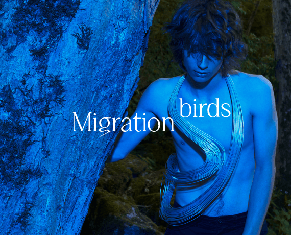 MIGRATION BIRDS